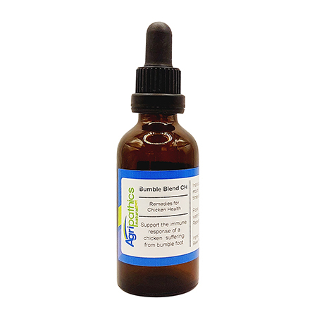 How to treat Bumblefoot Naturally