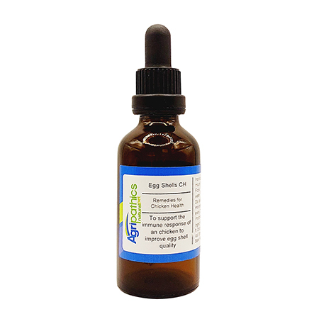 Egg Shells CH - soft egg shells in chickens