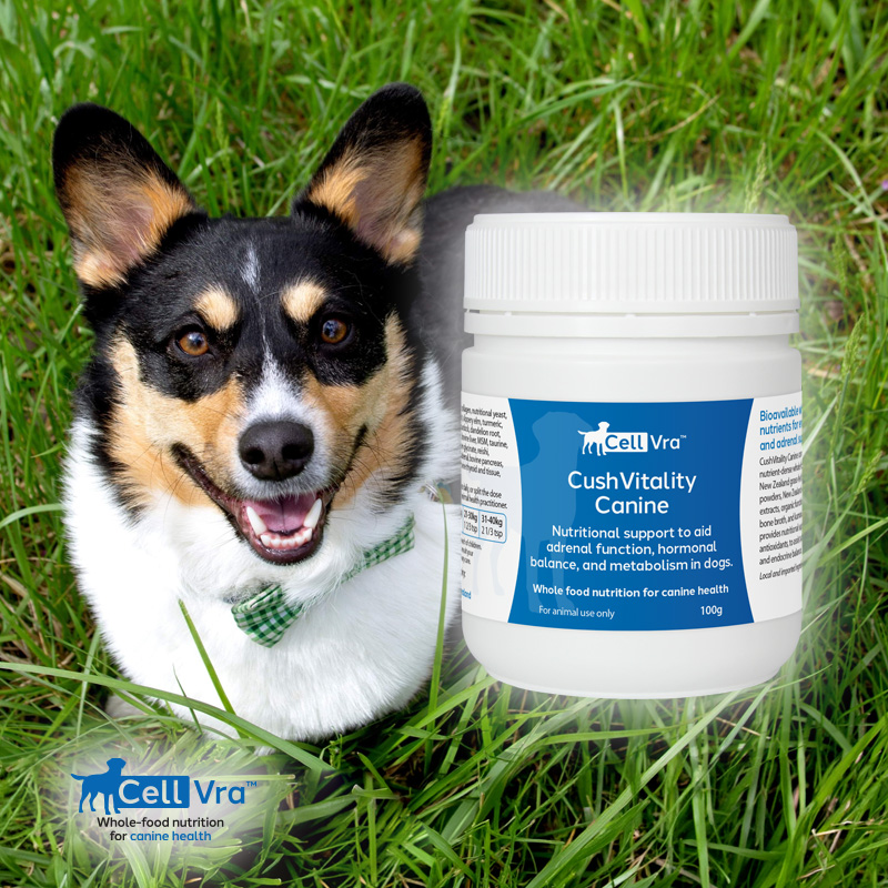 CushVitality Canine