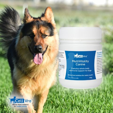 MultiVitality Canine
