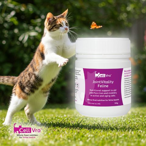 JointVitality Feline