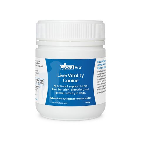 Front view of CellVra JointVitality Canine supplement for dogs